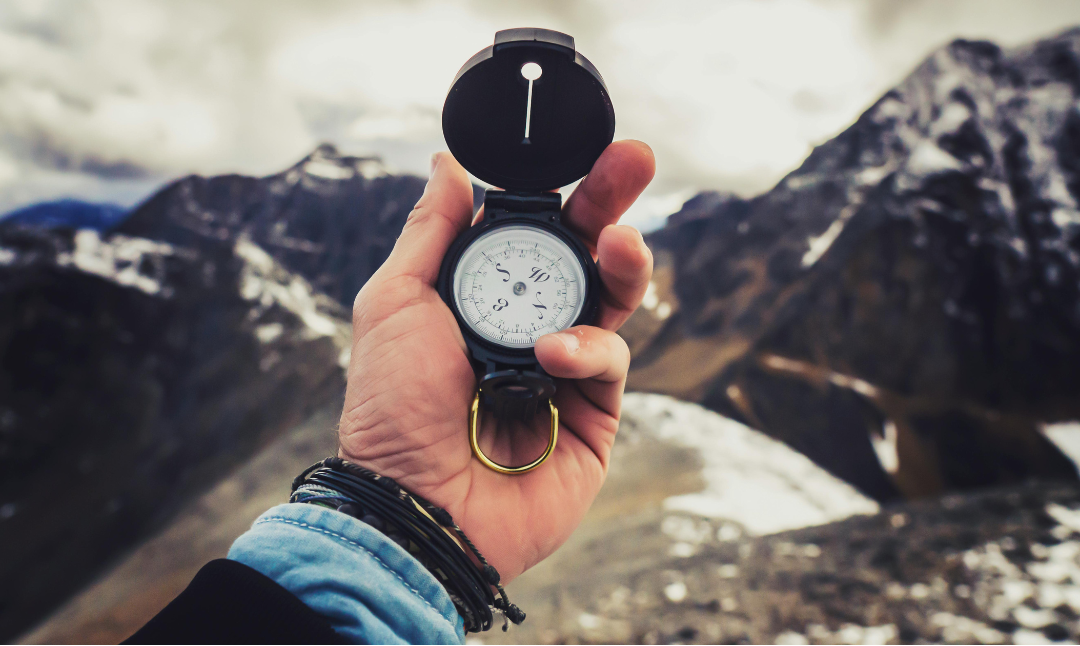🔥 Wertebasierte Führung: Was wirklich zählt 🌿